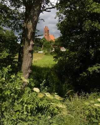 Plener w Postolinie, 2017, zdjęcie 1