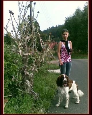 Plener w Podgórzynie "Karolinka", 2009, zdjęcie 1