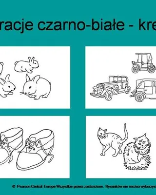 Ilustracja 4