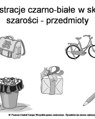 Ilustracja 5