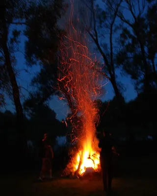 Plein-air camp in Sintautai, Lithuania, 2012, photo 6