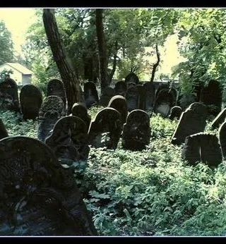 Plener w Piotrkowie Trybunalskim, 2007, zdjęcie 7