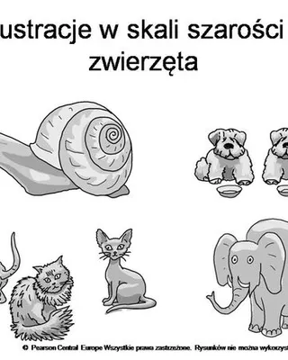 Ilustracja 8
