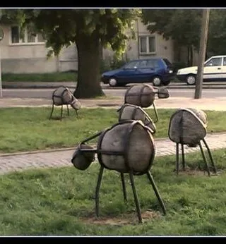 Plener w Piotrkowie Trybunalskim, 2007, zdjęcie 13