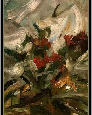 Pelargonie w oknie